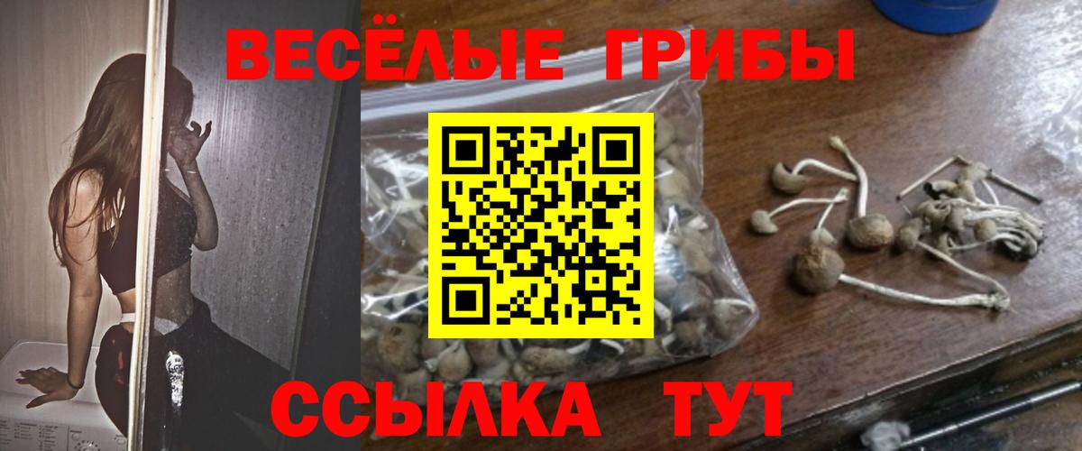 Анапа  Псилоцибиновые грибы GOLDEN TEACHER  Вход с VPN  Галлюциногенные грибы мицелий 