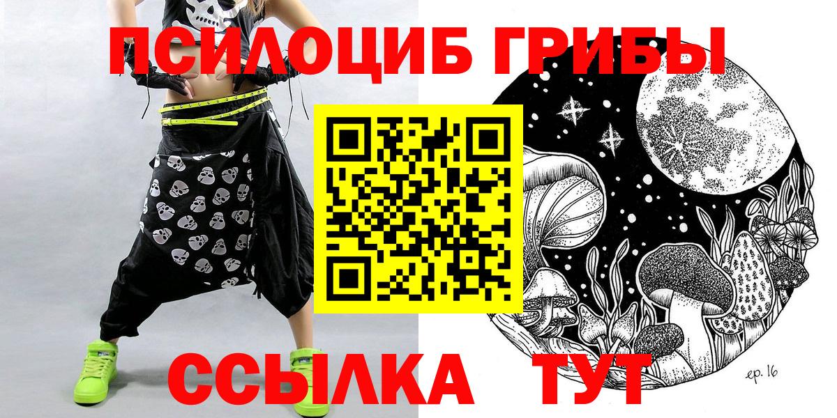 Псилоцибиновые грибы Cubensis Анапа